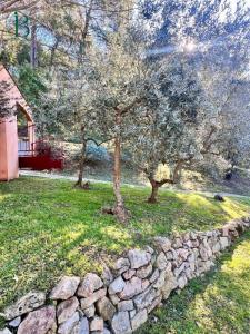 For sale Barjols 12 rooms 246 m2 Var (83670) photo 2