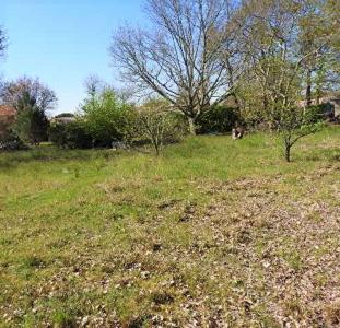 For sale Coimeres 1150 m2 Gironde (33210) photo 0