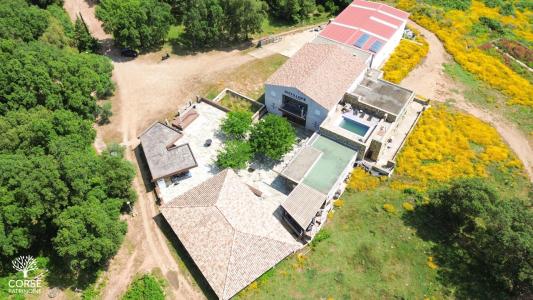 For sale Pietracorbara 19 rooms 1500 m2 Corse (20233) photo 0