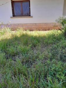 For sale CENTRE 4 rooms 83 m2 Herault (34110) photo 4