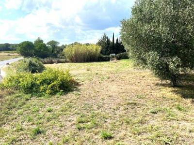 For sale 5 rooms 141 m2 Herault (34210) photo 3