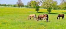 Vente Maison Montlucon 6 pieces 153 m2
