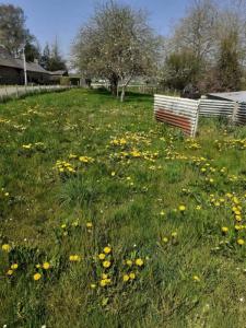 Acheter Maison Saint-pierre-des-landes 88366 euros