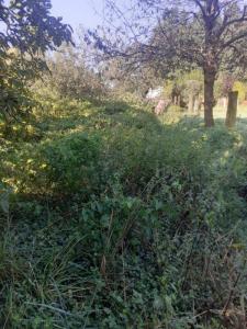 For sale Laignelet 4 rooms 60 m2 Ille et vilaine (35133) photo 3