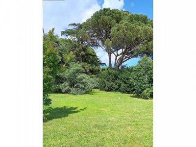 Annonce Vente Prestige Castelginest 31