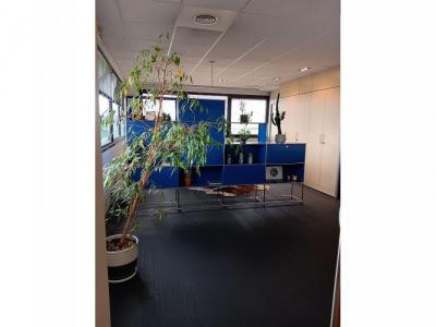 For rent Quint-fonsegrives 5 rooms 111 m2 Haute garonne (31130) photo 1