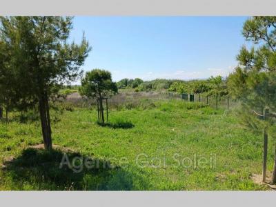 For sale Nissan-lez-enserune 500 m2 Herault (34440) photo 0