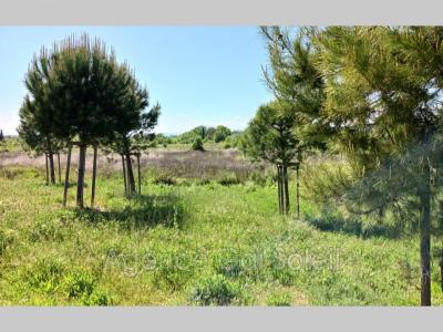 For sale Nissan-lez-enserune 500 m2 Herault (34440) photo 1