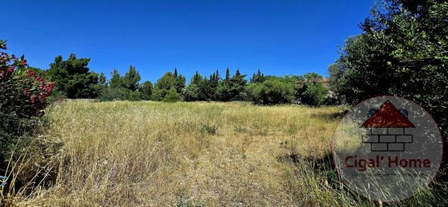For sale Palme 844 m2 Aude (11480) photo 0