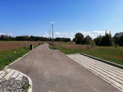 Annonce Vente Maison Damparis 39