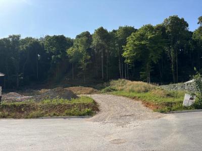 Acheter Maison 120 m2 Tallenay