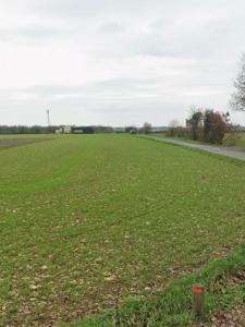 For sale Sainte-soulle 429 m2 Charente maritime (17220) photo 0