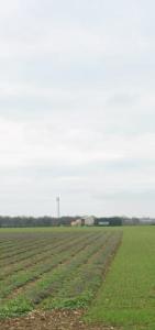 For sale Sainte-soulle 429 m2 Charente maritime (17220) photo 2