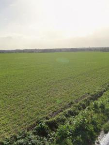 Annonce Vente Terrain Saint-ouen-d'aunis 17