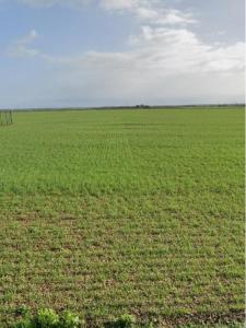 Acheter Terrain 572 m2 Saint-ouen-d'aunis