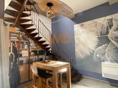 Acheter Maison Thuir 490000 euros