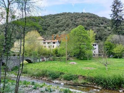 Annonce Vente Prestige Saint-andre-de-valborgne 30