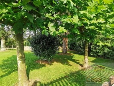 Acheter Maison 159 m2 Saint-ave