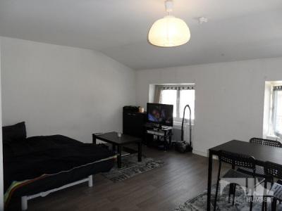 For rent Saint-etienne 1 room 31 m2 Loire (42000) photo 0