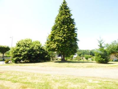 Annonce Vente 6 pices Maison  54