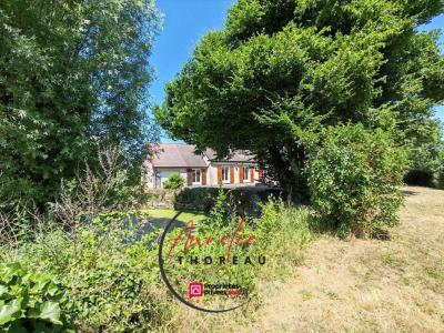 Annonce Vente 9 pices Maison Chilleurs-aux-bois 45