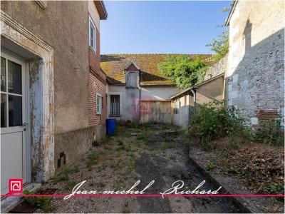 Annonce Vente 3 pices Maison Selles-sur-cher 41