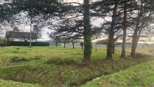 For sale Ploermel 880 m2 Morbihan (56800) photo 2