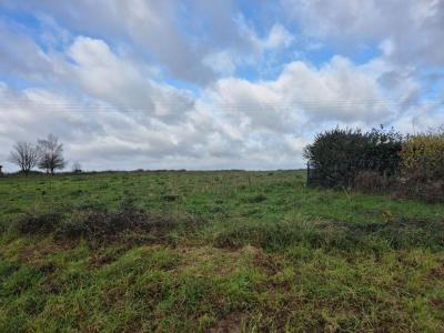 For sale Saunay 9235 m2 Indre et loire (37110) photo 0