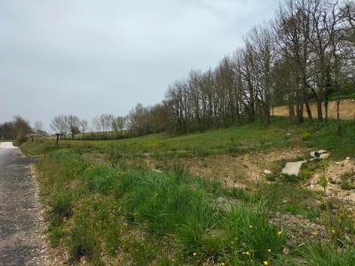For sale Saint-clar 2213 m2 Gers (32380) photo 1