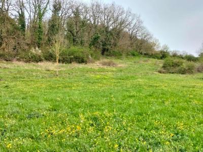 For sale Saint-clar 2213 m2 Gers (32380) photo 3