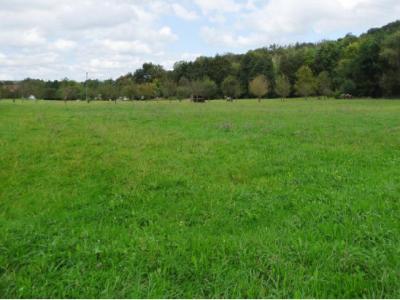 For sale Roderen 80 m2 Haut rhin (68800) photo 0