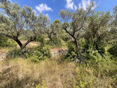 Acheter Terrain Claviers 159000 euros
