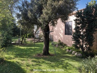 Annonce Vente 4 pices Maison Lecci 20