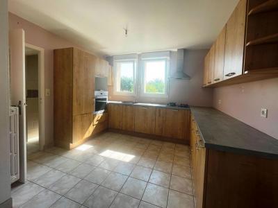 Annonce Vente 3 pices Maison Montfort-sur-meu 35