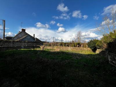 Annonce Vente 4 pices Maison Etriche 49