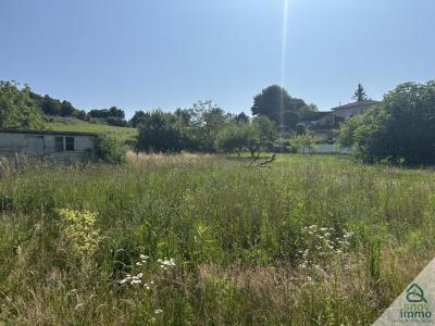 Annonce Vente Terrain Chalamont 01