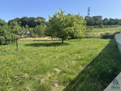 Annonce Vente Terrain Chalamont 01