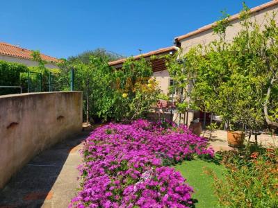 Acheter Maison Thuir 419000 euros
