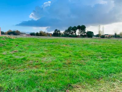 For sale Saint-christoly-de-blaye 1100 m2 Gironde (33920) photo 0