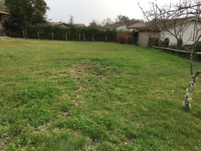 For sale Ambares-et-lagrave 450 m2 Gironde (33440) photo 0