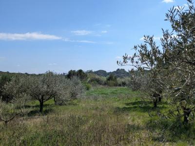 Acheter Terrain 2381 m2 Fournes