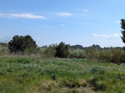 Acheter Terrain Fournes Gard