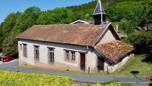 Annonce Vente 2 pices Maison Wisembach 88