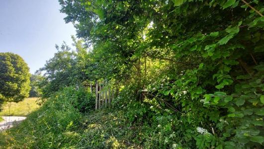 Annonce Vente Terrain  38