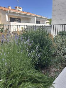 For sale 3 rooms 61 m2 Bouches du Rhone (13011) photo 2