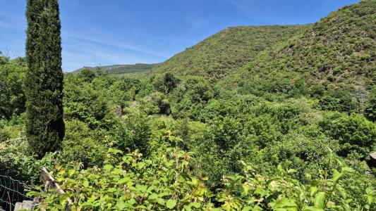 For sale AU CALME 6 rooms 207 m2 Herault (34210) photo 2