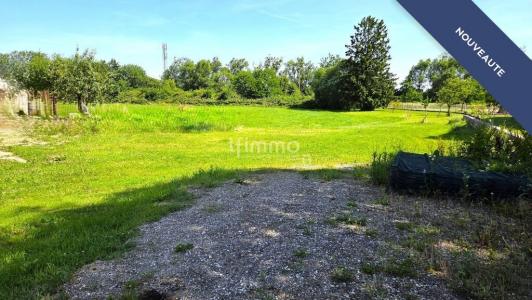 For sale Rohrwiller 461 m2 Bas rhin (67410) photo 3
