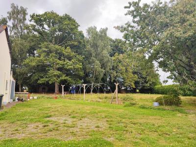 Annonce Vente 4 pices Maison Meneac 56