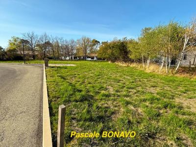 Annonce Vente Terrain Hourtin 33