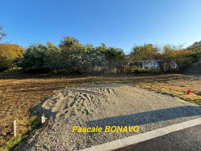 Acheter Terrain Hourtin 244400 euros